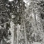 Apartman за гости в *