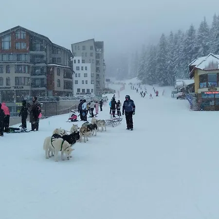 за гости в *