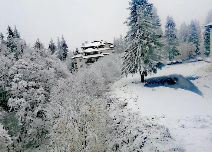 за гости в Апартамент Пампорово