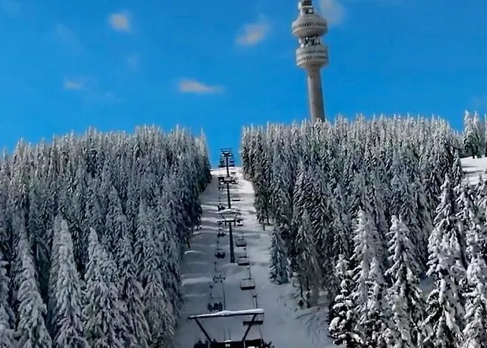 за гости в Апартамент Пампорово