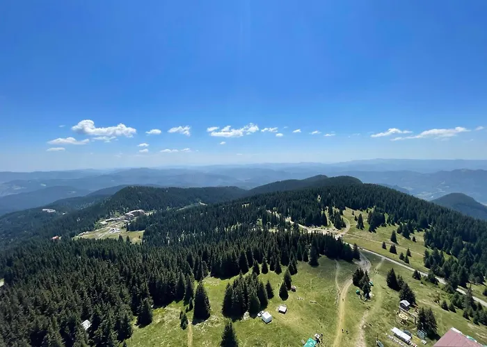 за гости в Апартамент Пампорово